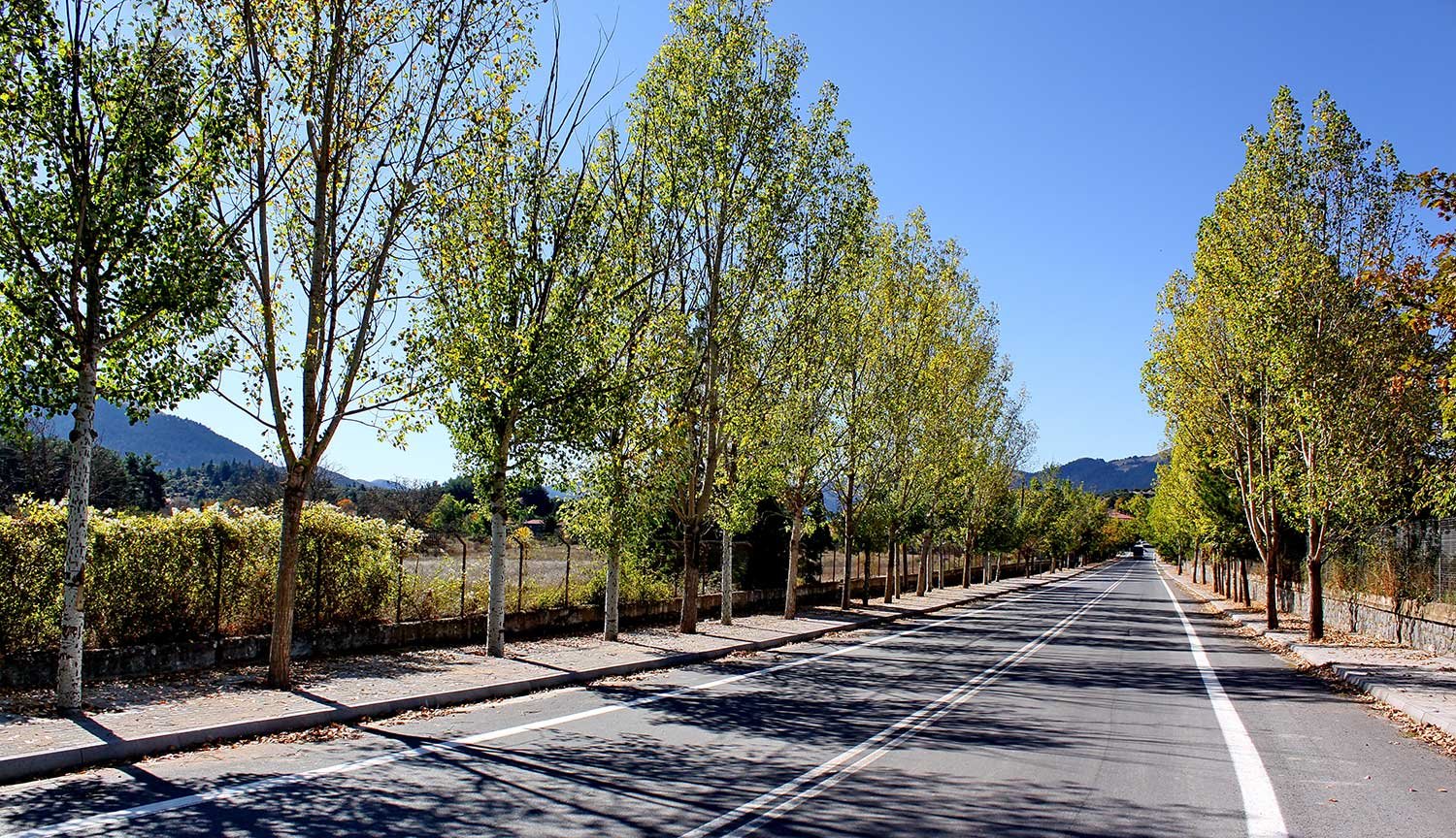 Καρύταινα και Λούσιος 